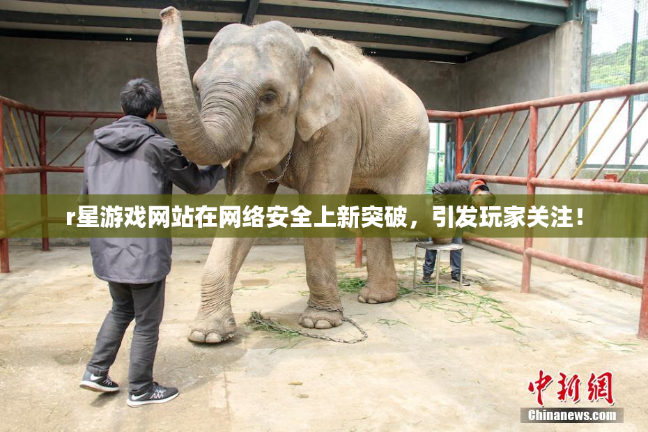 r星游戏网站在网络安全上新突破，引发玩家关注！