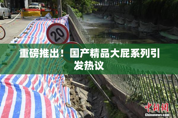 重磅推出！国产精品大屁系列引发热议