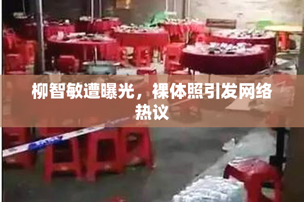 柳智敏遭曝光，裸体照引发网络热议