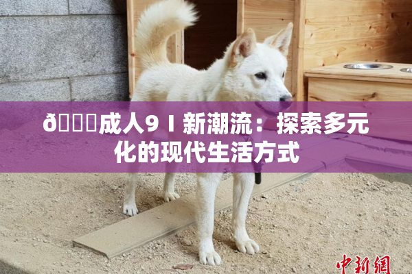 🔞成人9Ⅰ新潮流：探索多元化的现代生活方式