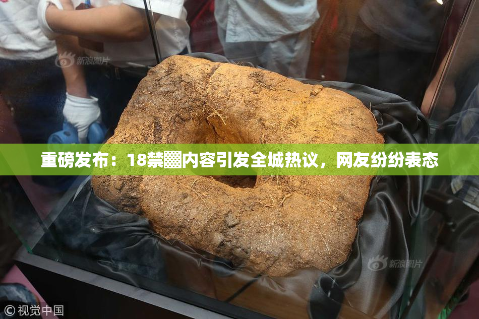 重磅发布：18禁▓内容引发全城热议，网友纷纷表态