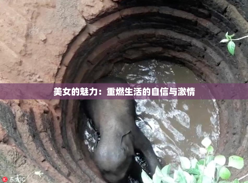 美女的魅力：重燃生活的自信与激情