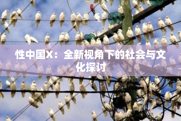 性中国X：全新视角下的社会与文化探讨