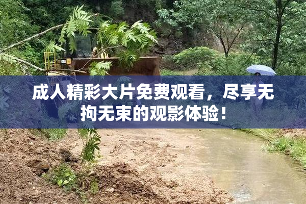 成人精彩大片免费观看，尽享无拘无束的观影体验！