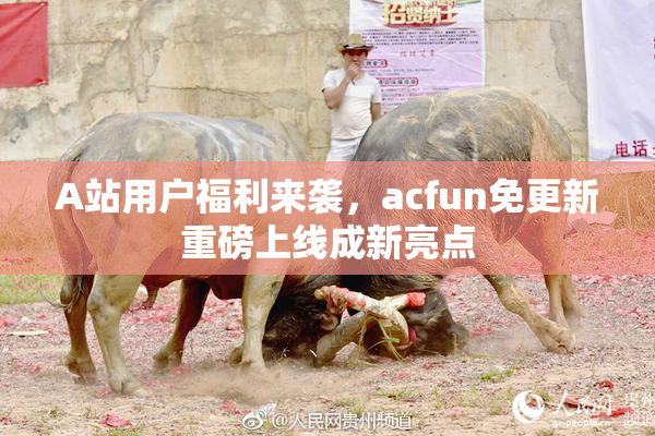 A站用户福利来袭，acfun免更新重磅上线成新亮点