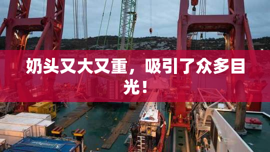 奶头又大又重，吸引了众多目光！