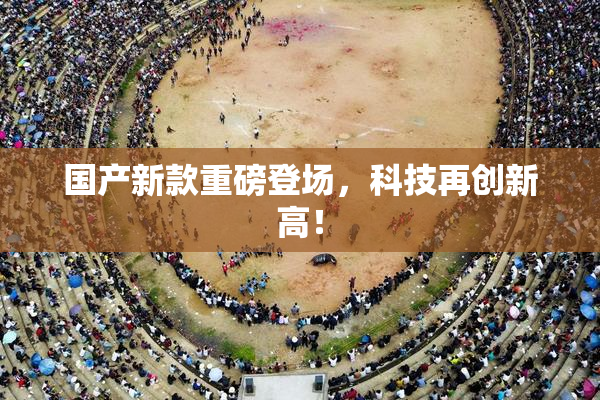 国产新款重磅登场，科技再创新高！
