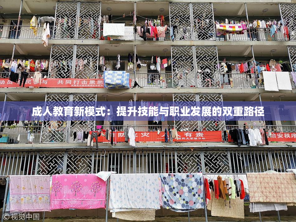 成人教育新模式：提升技能与职业发展的双重路径