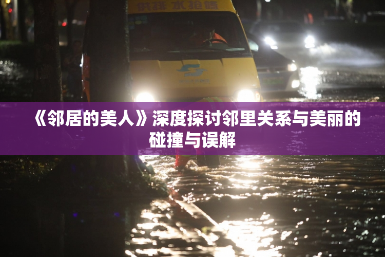 《邻居的美人》深度探讨邻里关系与美丽的碰撞与误解