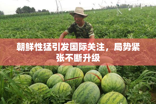 朝鲜性猛引发国际关注，局势紧张不断升级