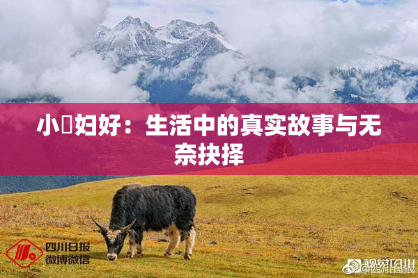 小婬妇好：生活中的真实故事与无奈抉择