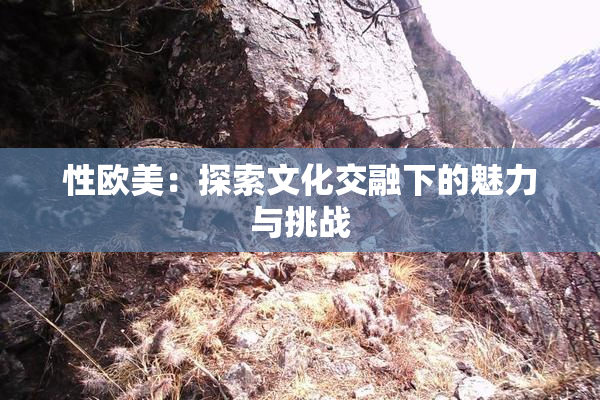 性欧美：探索文化交融下的魅力与挑战