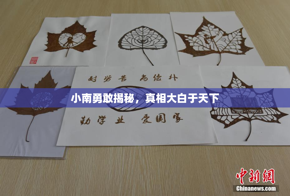小南勇敢揭秘，真相大白于天下