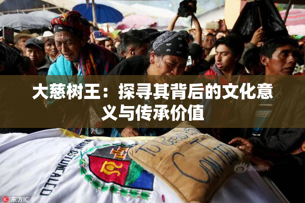 大慈树王：探寻其背后的文化意义与传承价值