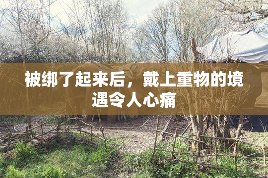 被绑了起来后，戴上重物的境遇令人心痛