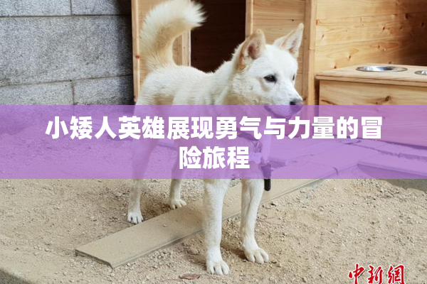 小矮人英雄展现勇气与力量的冒险旅程