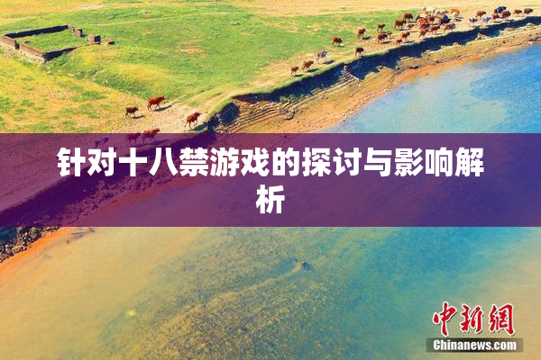 针对十八禁游戏的探讨与影响解析