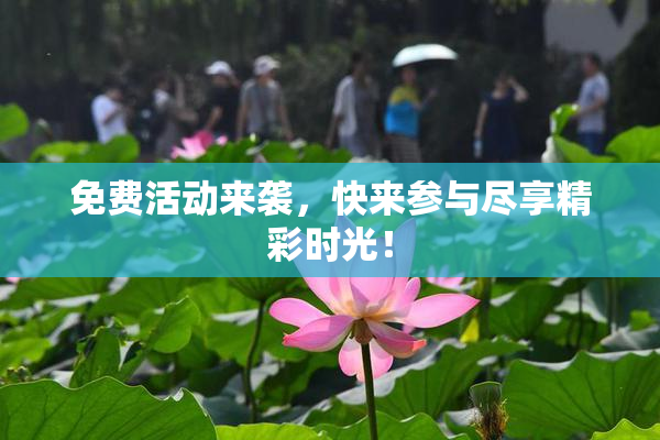 免费活动来袭，快来参与尽享精彩时光！