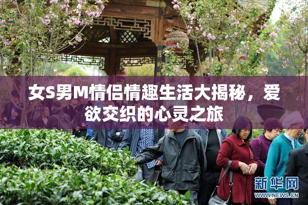 女S男M情侣情趣生活大揭秘，爱欲交织的心灵之旅