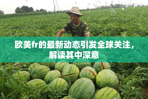欧美fr的最新动态引发全球关注，解读其中深意