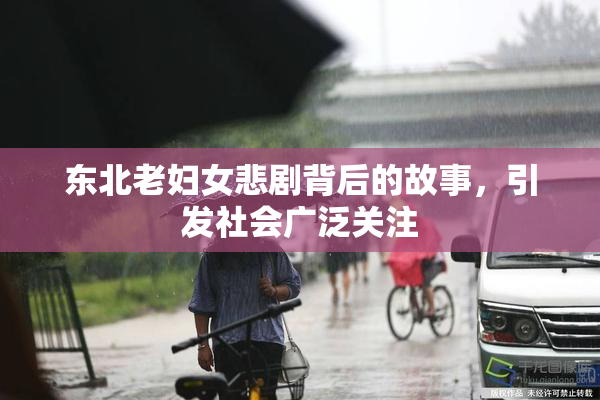 东北老妇女悲剧背后的故事，引发社会广泛关注