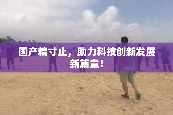 国产精寸止，助力科技创新发展新篇章！