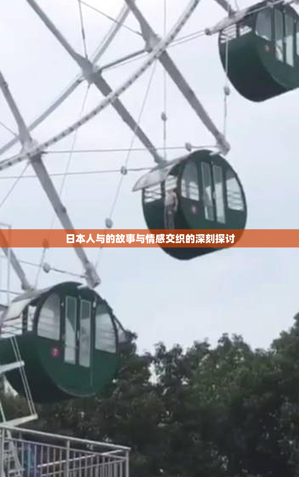 日本人与的故事与情感交织的深刻探讨