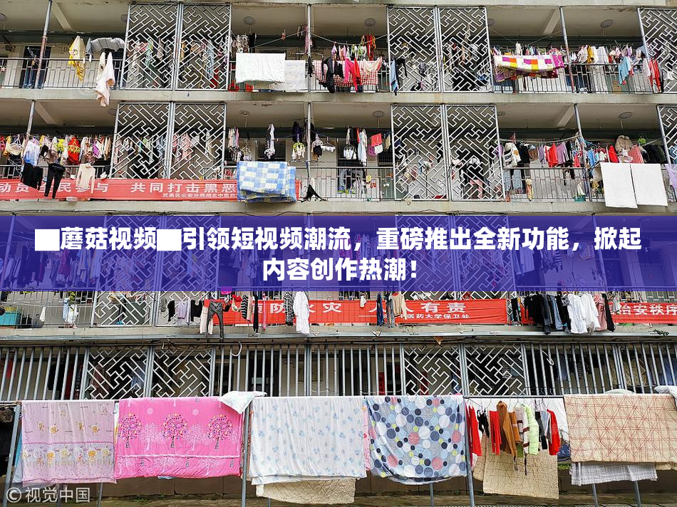 ▇蘑菇视频▇引领短视频潮流，重磅推出全新功能，掀起内容创作热潮！