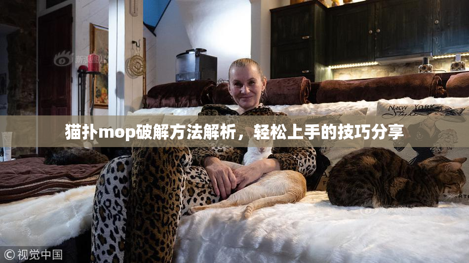 猫扑mop破解方法解析，轻松上手的技巧分享