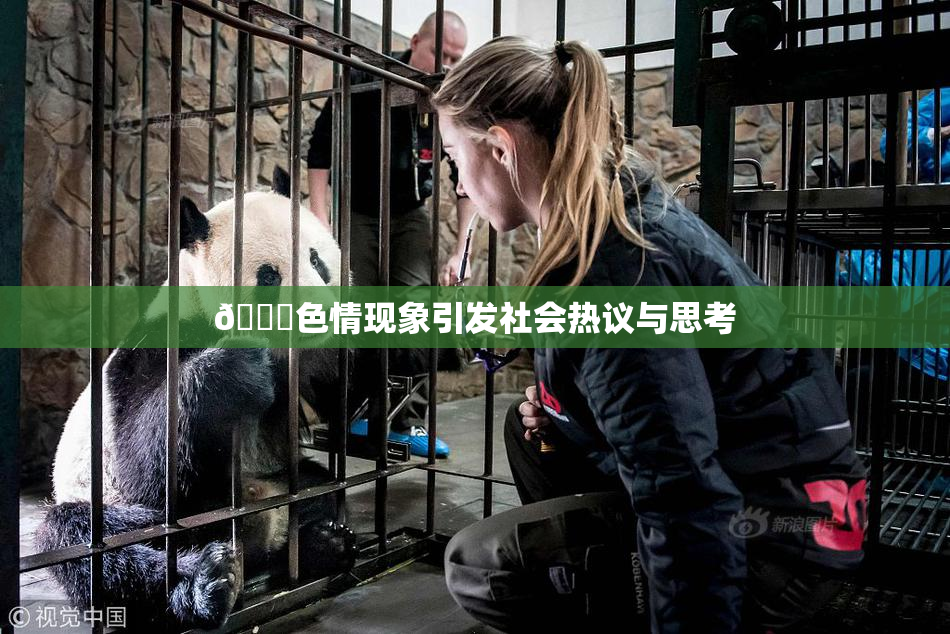 🔞色情现象引发社会热议与思考