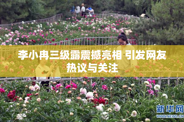 李小冉三级露震撼亮相 引发网友热议与关注
