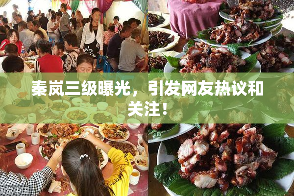 秦岚三级曝光，引发网友热议和关注！