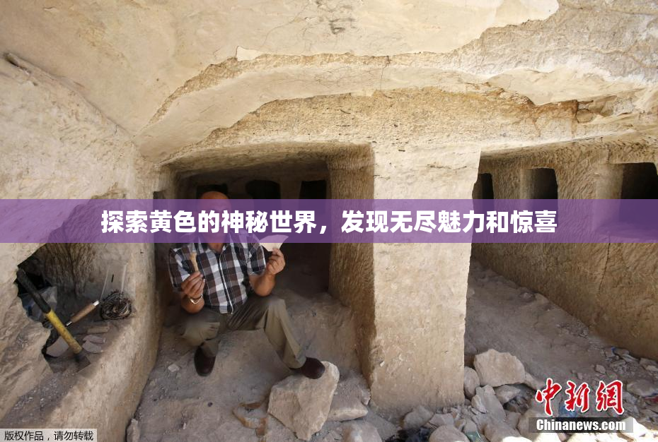 探索黄色的神秘世界，发现无尽魅力和惊喜