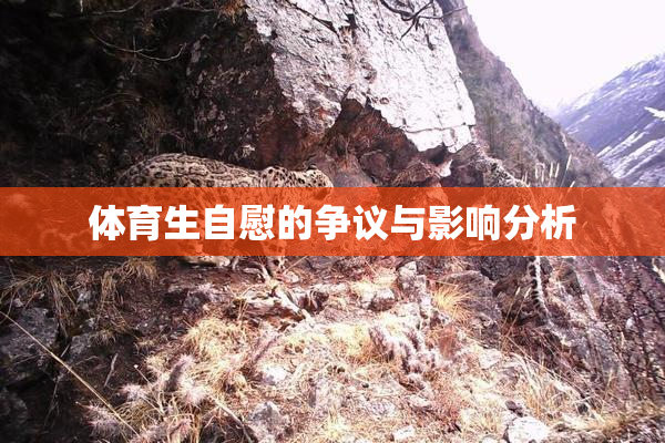 体育生自慰的争议与影响分析