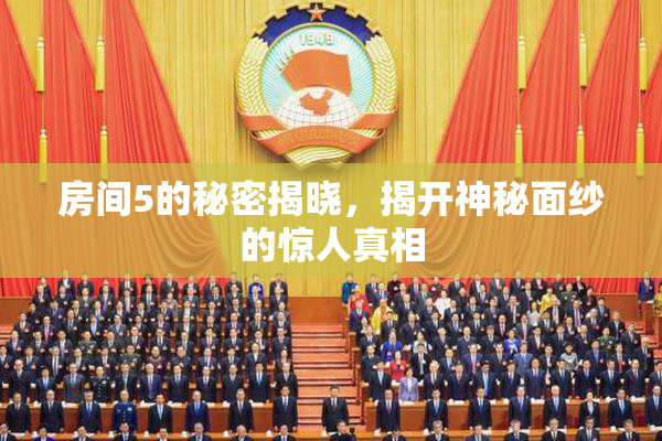 房间5的秘密揭晓，揭开神秘面纱的惊人真相