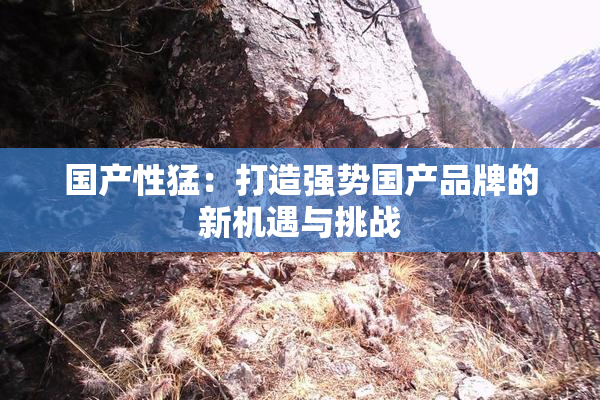 国产性猛：打造强势国产品牌的新机遇与挑战