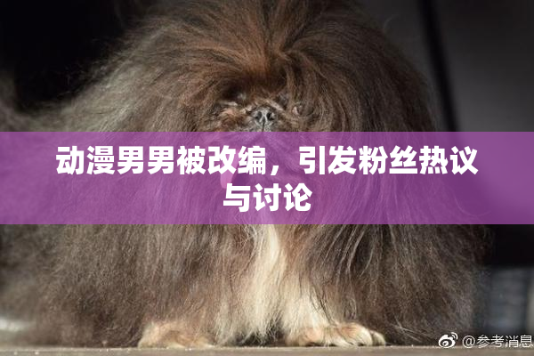 动漫男男被改编，引发粉丝热议与讨论