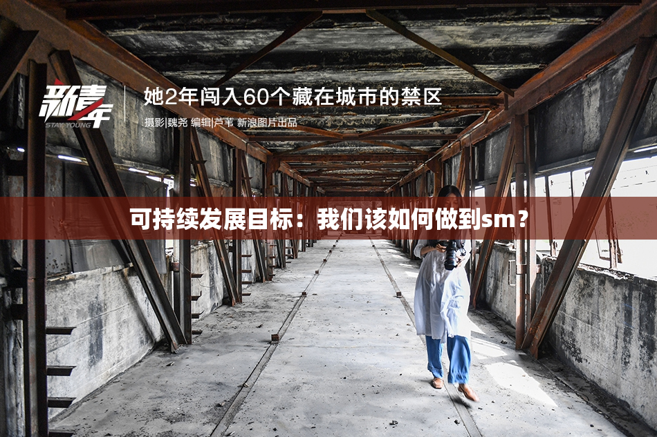 可持续发展目标：我们该如何做到sm？