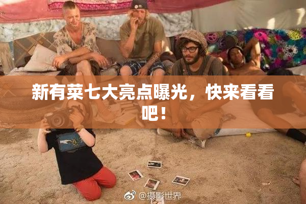 新有菜七大亮点曝光，快来看看吧！