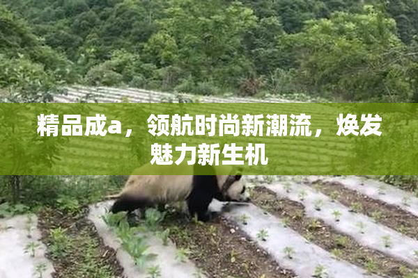 精品成a，领航时尚新潮流，焕发魅力新生机