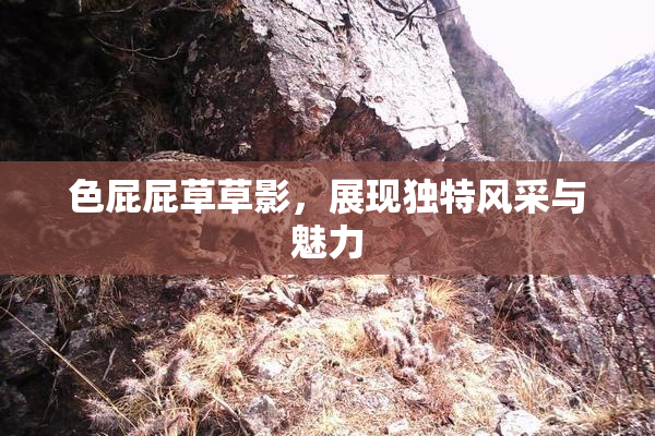 色屁屁草草影，展现独特风采与魅力