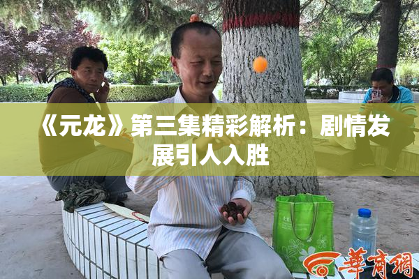 《元龙》第三集精彩解析：剧情发展引人入胜
