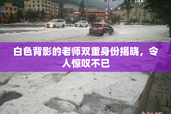 白色背影的老师双重身份揭晓，令人惊叹不已