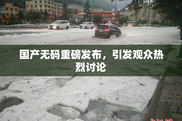 国产无码重磅发布，引发观众热烈讨论