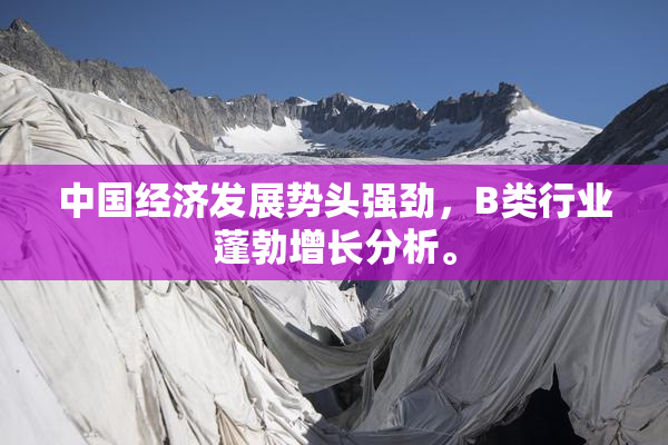 中国经济发展势头强劲，B类行业蓬勃增长分析。