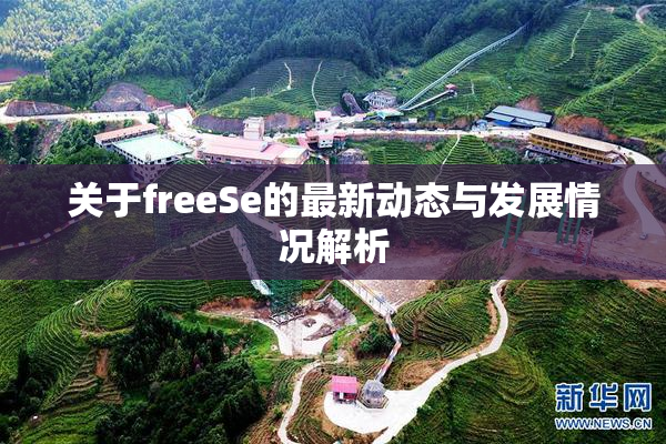 关于freeSe的最新动态与发展情况解析
