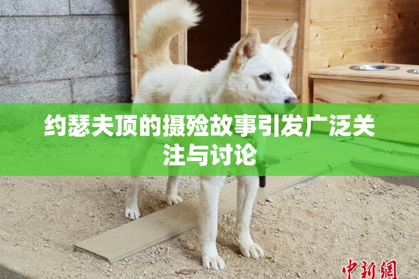 约瑟夫顶的摄殓故事引发广泛关注与讨论
