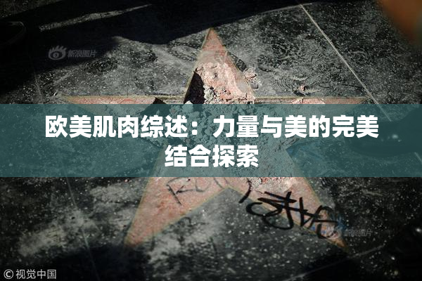 欧美肌肉综述：力量与美的完美结合探索