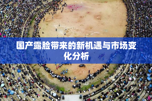 国产露脸带来的新机遇与市场变化分析