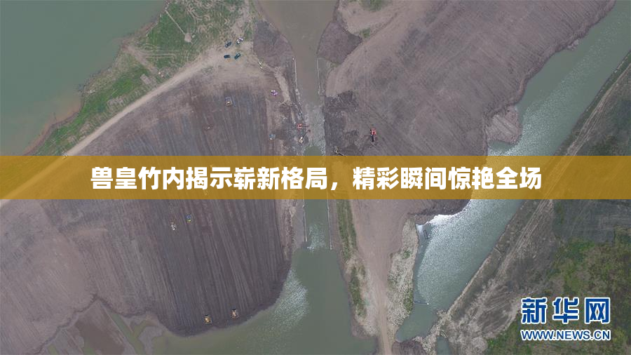 兽皇竹内揭示崭新格局，精彩瞬间惊艳全场